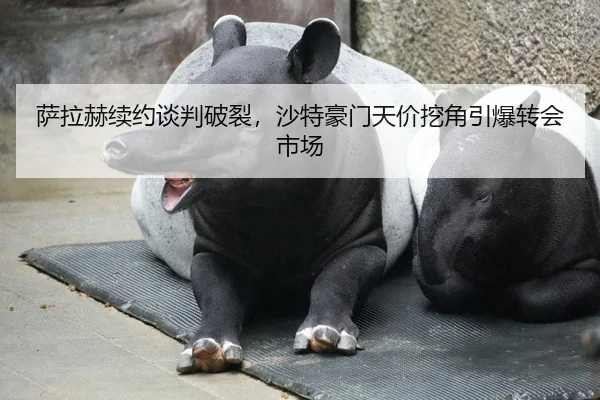 sa-la-he-xu-yue-tan-pan-po-lie-sha-te-hao-men-tian-jia-wa-jiao-yin-bao-zhuan-hui-shi-chang-2-268.jpg