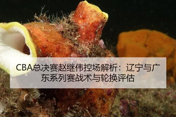 CBA总决赛赵继伟控场解析：辽宁与广东系列赛战术与轮换评估